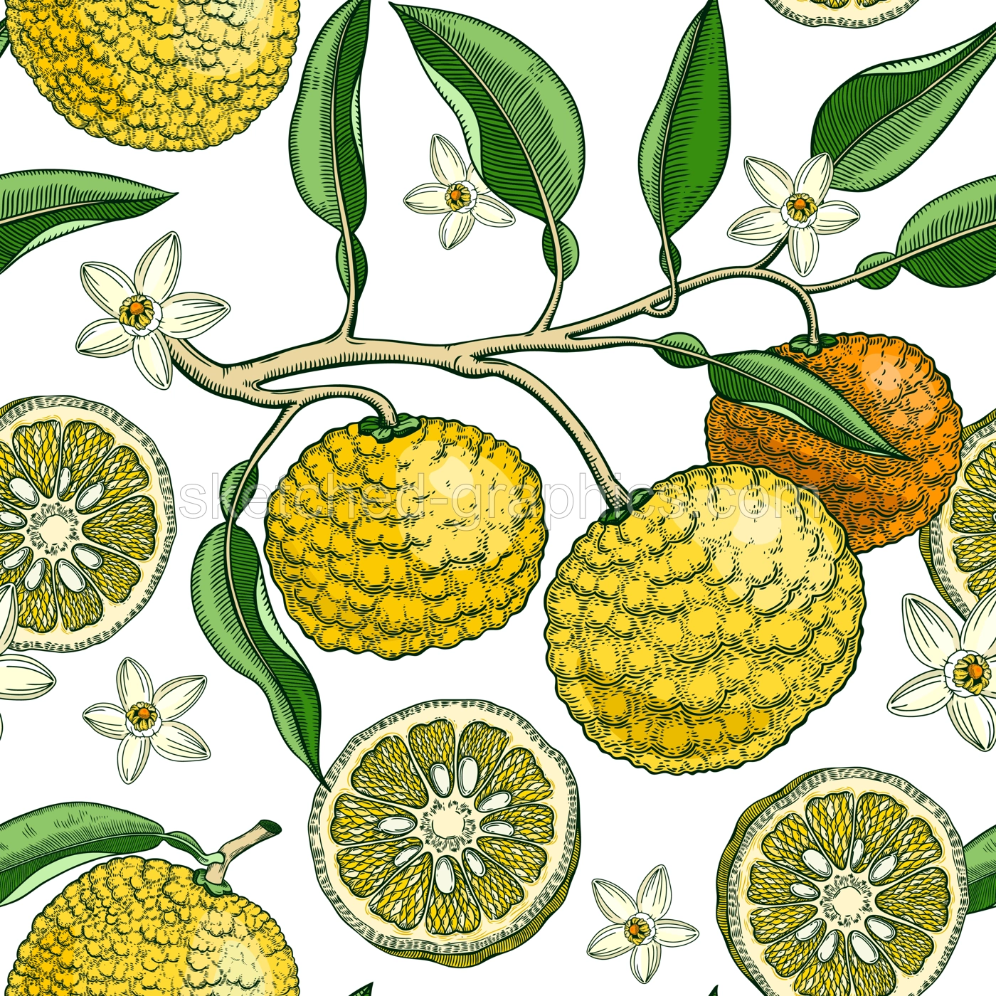Hand drawn yuzu background design. Vintage citrus branches, flowers, leaves whole fruit, cut half piece sketches. Seamless healthy food pattern. Exotic plant illustration for print Illustration